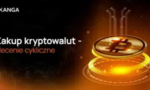 CoinGecko: Jak wpłacić? To nie giełda! Kup krypto bezpiecznie