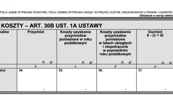 Formularz podatkowy E. DOCHÓD / KOSZTY. Wpisz tu przychody z kryptowalut, by obliczyć podatek od jakiej kwoty.